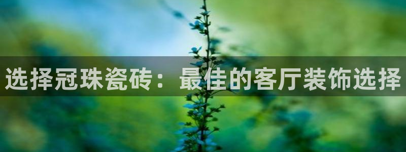 金年会体育和金年会：选择冠珠瓷砖：最佳的客厅装饰选择