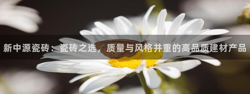 金年会体育app下载