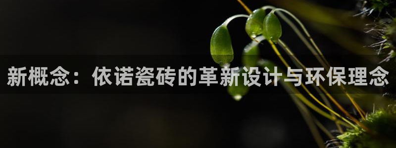 金年会足彩