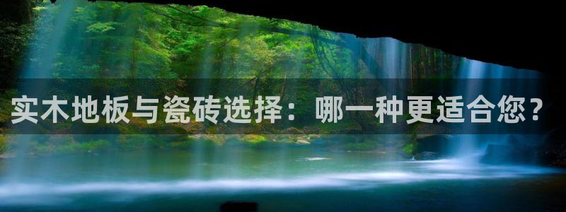 6766金年会