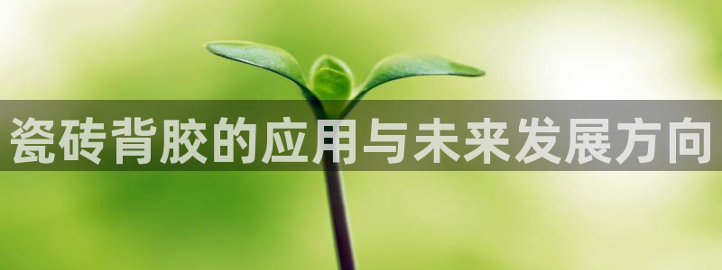 世界杯金年会app下载