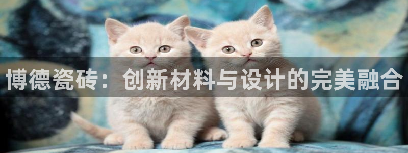 金年会平台登陆