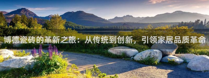 金年会com