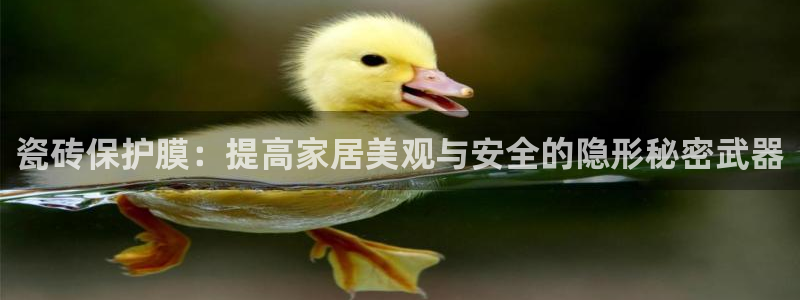 金年会网登录平台入口