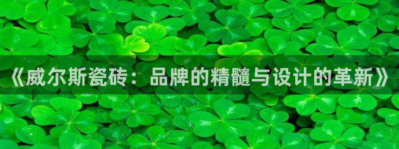 金帆年会2017