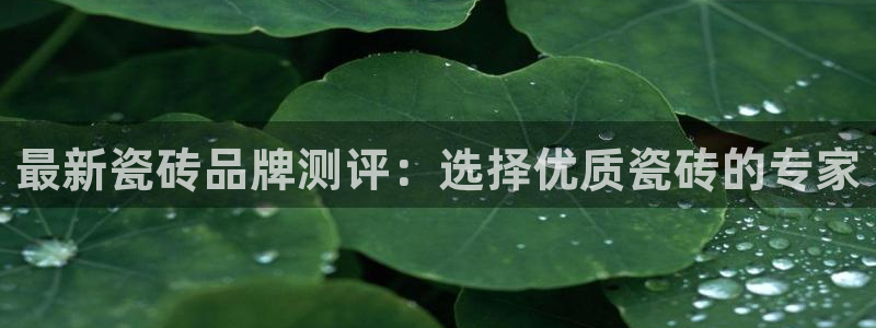 金年会体育官方