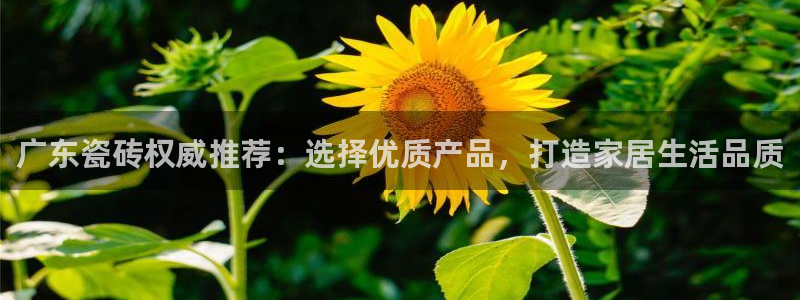 金年会黑网