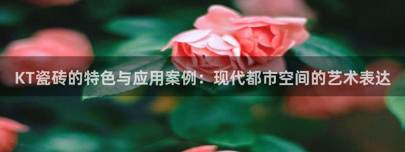 金年会是正规平台吗