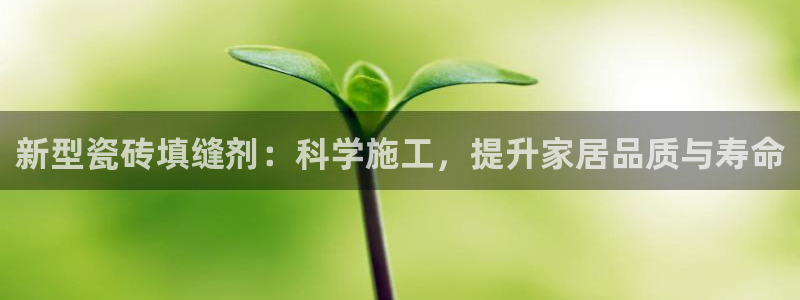 金年会是赌博的吗