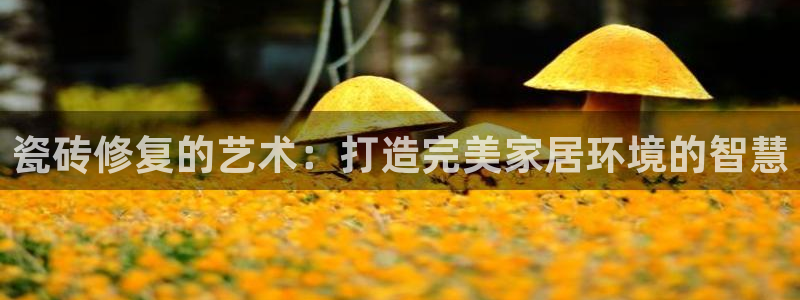 金年会娱乐下载