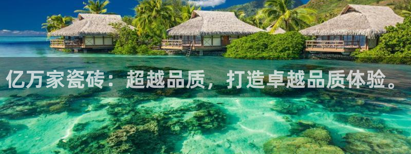 金年会娱乐app