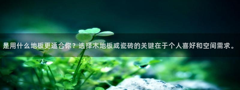 金升年会