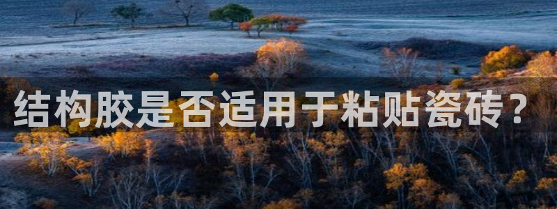 金年会入口