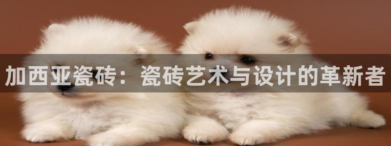 金年会官方网站下载