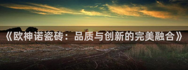 金诚集团年会