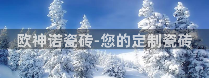 金升年会