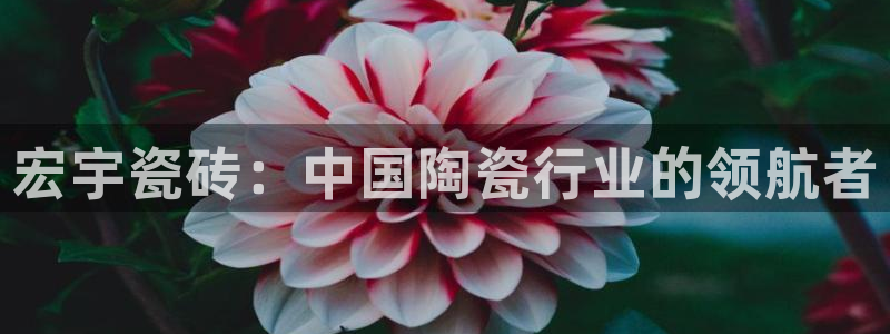 金年会体育官方网站