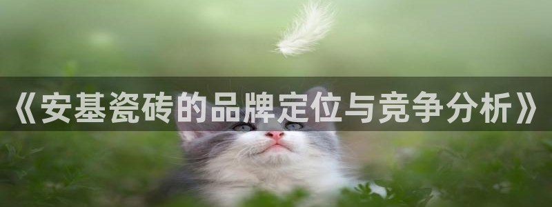 今年会金年会