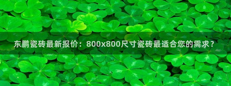 世纪金源年会