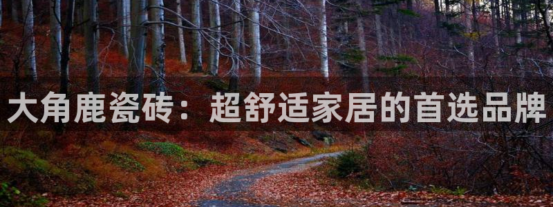 金年会金字招牌