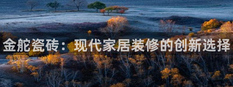 金靖年会
