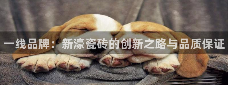 金年会官方入口