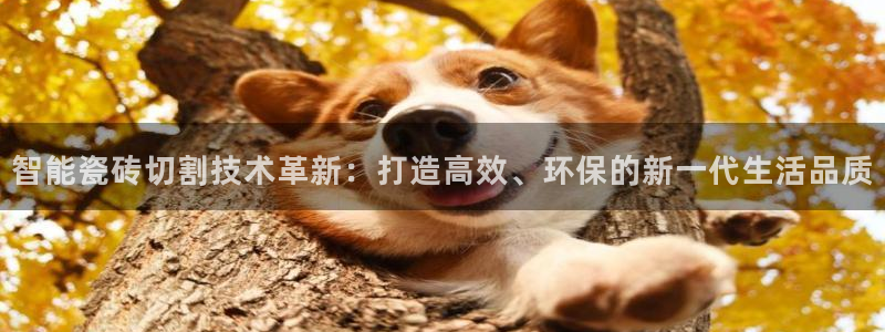 陆金所 年会