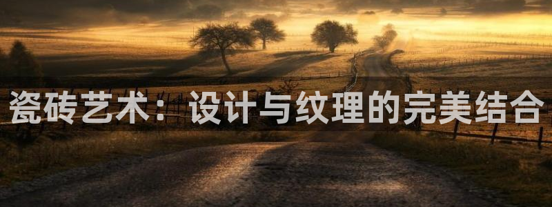 金科年会图片