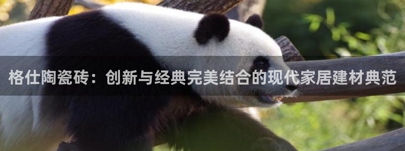 金年会体育官方网站入口