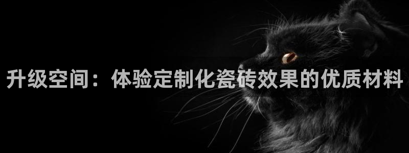 世纪金源年会