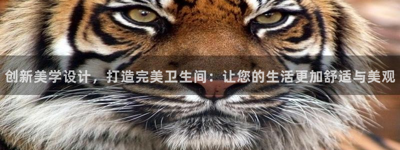 金年会平台游戏