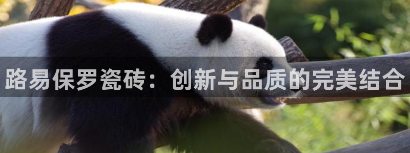 金年会彩票下载app