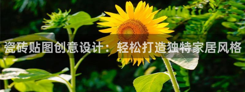 金年会官网app下载