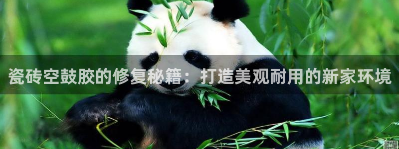 为什么搜索不了金年会