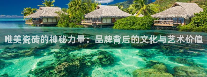 金年会登陆
