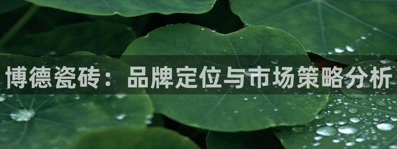 金年会娱乐官网