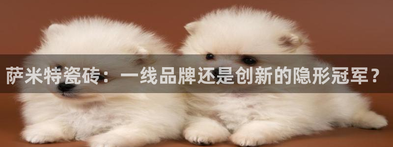 金年会APP下载