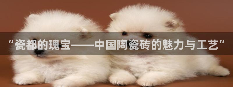 2022年金科年会