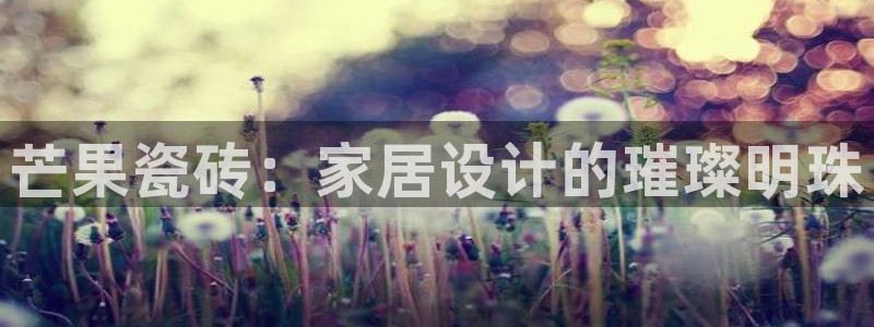 金年会平台包赔