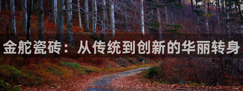金年会体育app下载
