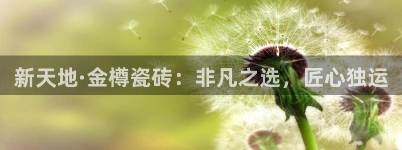 金年会软件在线下载