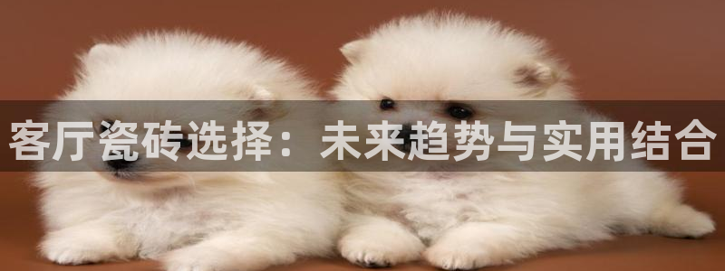 金年会体育平台在线登录