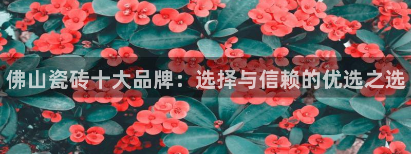 为什么搜索不了金年会