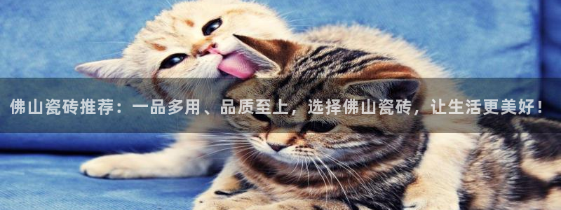 金年会官网app下载