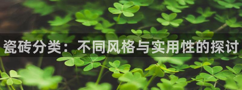 金联金年会