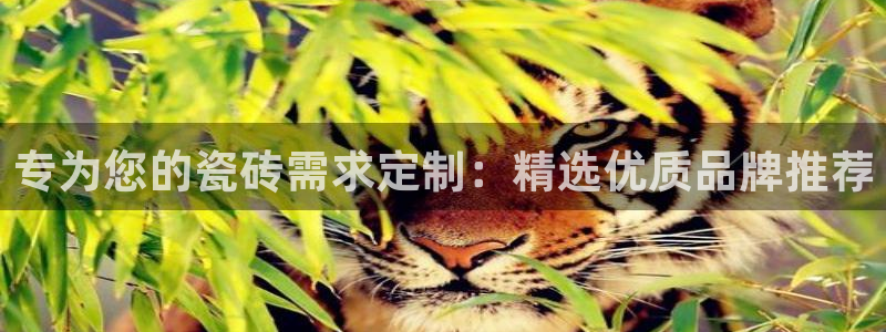 金年会棋牌