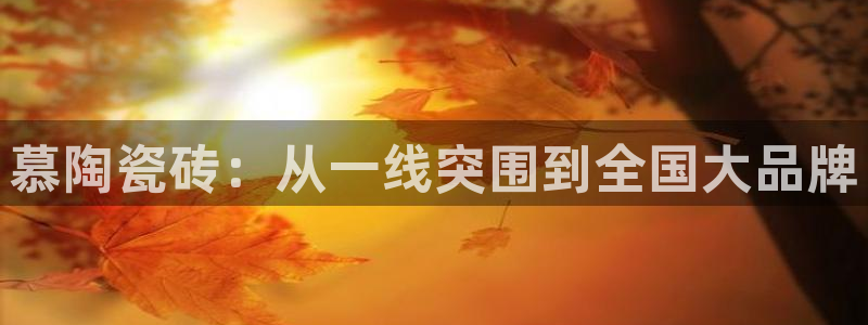 金年会退款