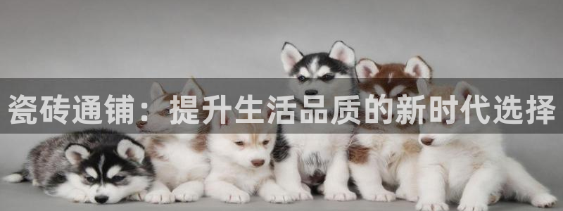 金年会体育官网