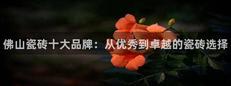 金年会平台出款