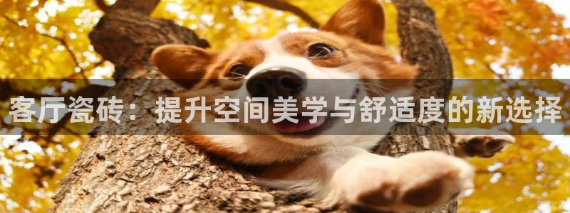 金年会金字招牌信誉